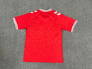 Denmark 2024 Home Shirt