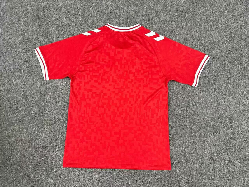 Denmark 2024 Home Shirt