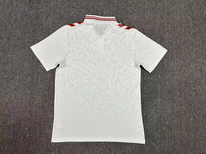 Denmark 2024 Secondary Shirt