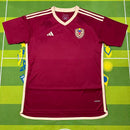 Camisa Venezuela 2024 Home